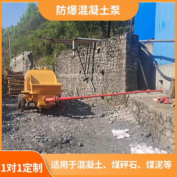 防爆混凝土输送泵.jpg
